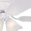Ventilateur de plafond standard à 5 pales de 52 po avec chaînette et ensemble d'éclairage inclus Rosenblatt-29587320-50118209