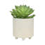 Jardinières texturées 6/8 ", brillant-306810524