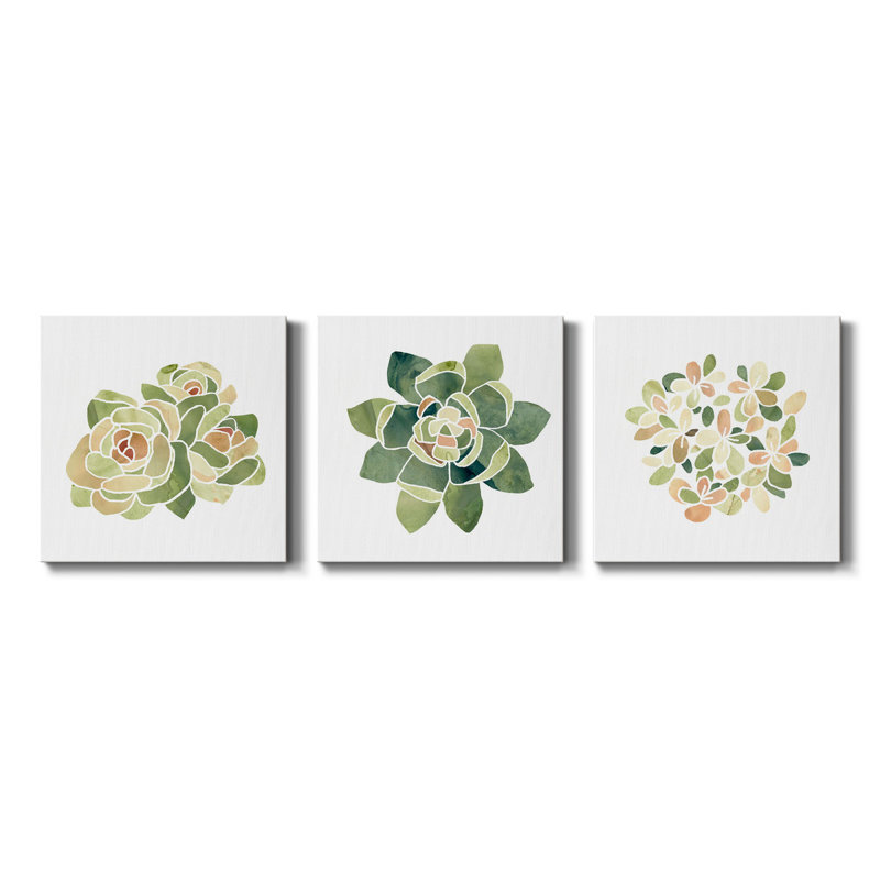 «Succulent Cameo XV», ensemble de 3 toiles tendues, H 40 po x l 80 po x P 1 po