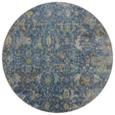 Machine Washable Indoor/Outdoor Jadiel ACN2359 Traditional Rug