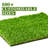 Realistic Grass Deluxe Synthetic Turf-55820246