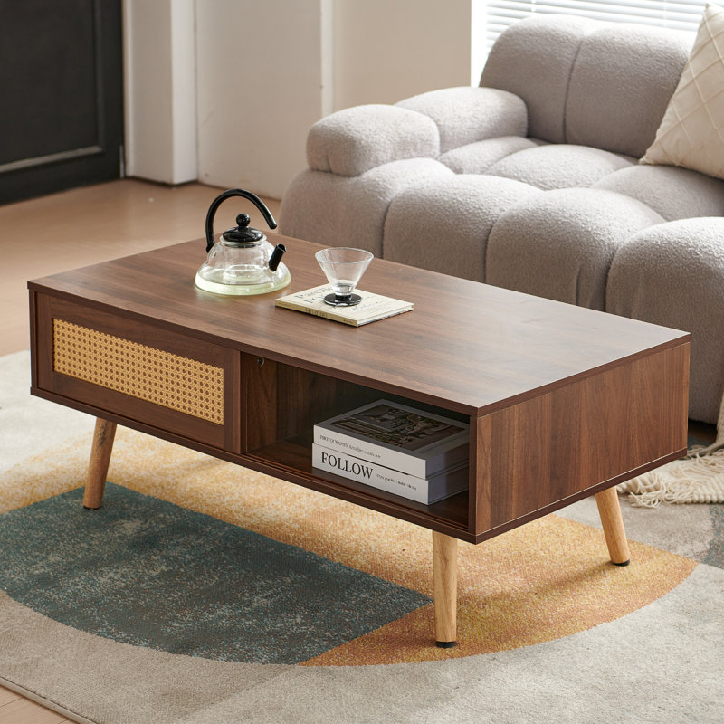 Table basse en rotin PE, porte coulissante pour le rangement, pieds en bois massif, table moderne pour le salon, couleur noyer