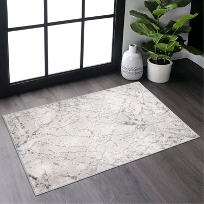 Tapis paillasson 2X3