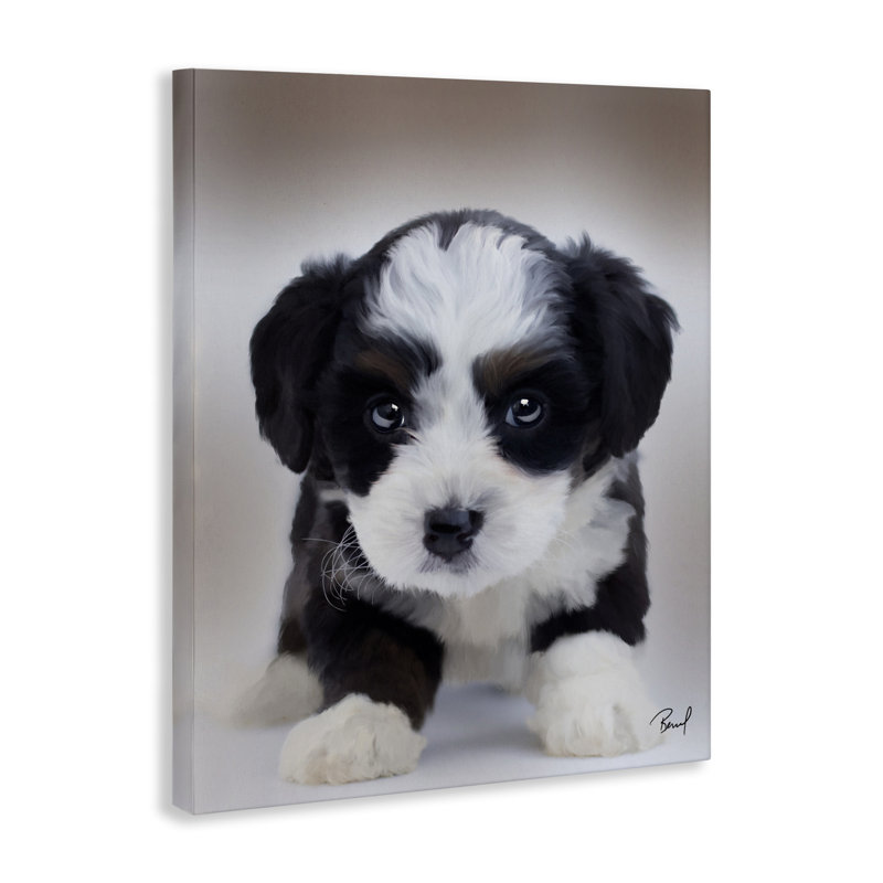 "Fluffy Bernedoodle Puppy", art par Renel Peters, H 20 po x l 16 po