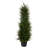 Spiral Cypress Artificial Tree with LED Lights