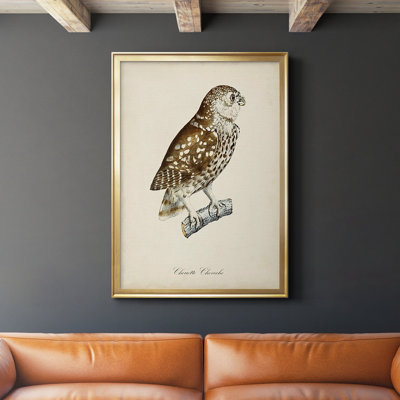 «French Owls I», impression sur papier