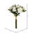 Roses Bush-1049466424