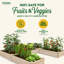 Lit de jardin surélevé en cèdre de qualité supérieure 8 pi. X 8 pi X 16,5 po-1129534815-1129534814