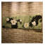 Ensemble de décoration murale rétro Lotus