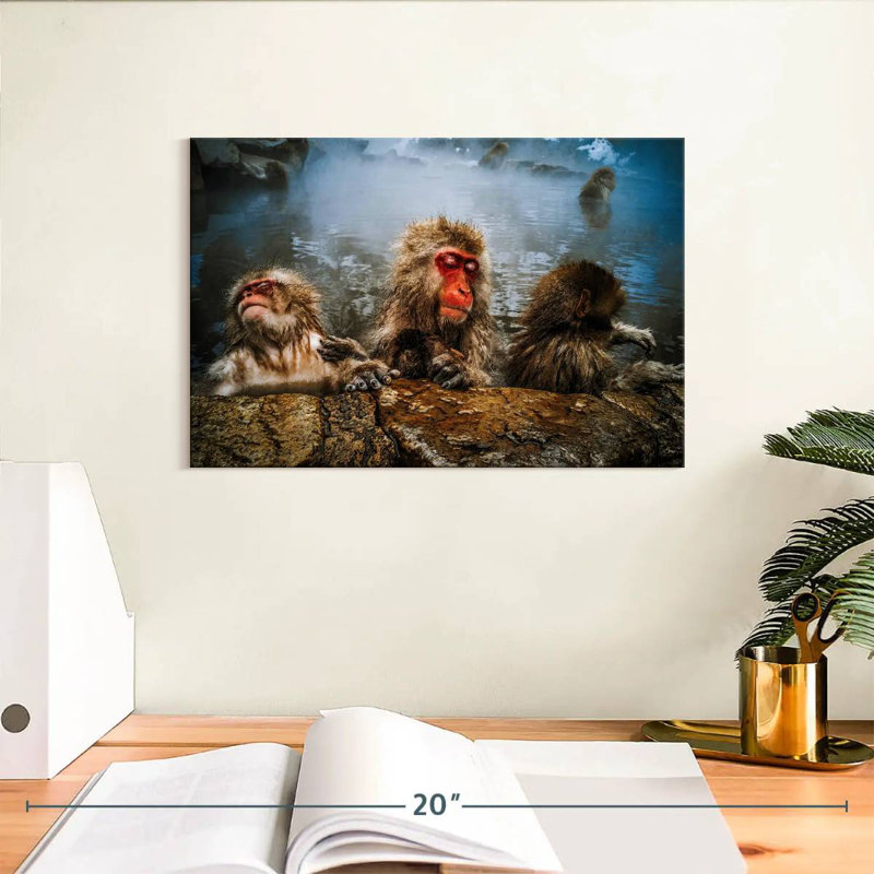 Brampt Japanese Macaque Monkeys, 8" H x 12" W