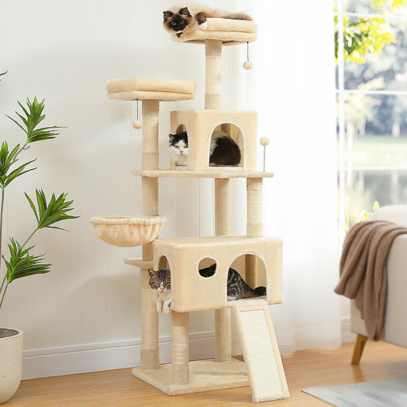 Tour à chat pour chat, Beige