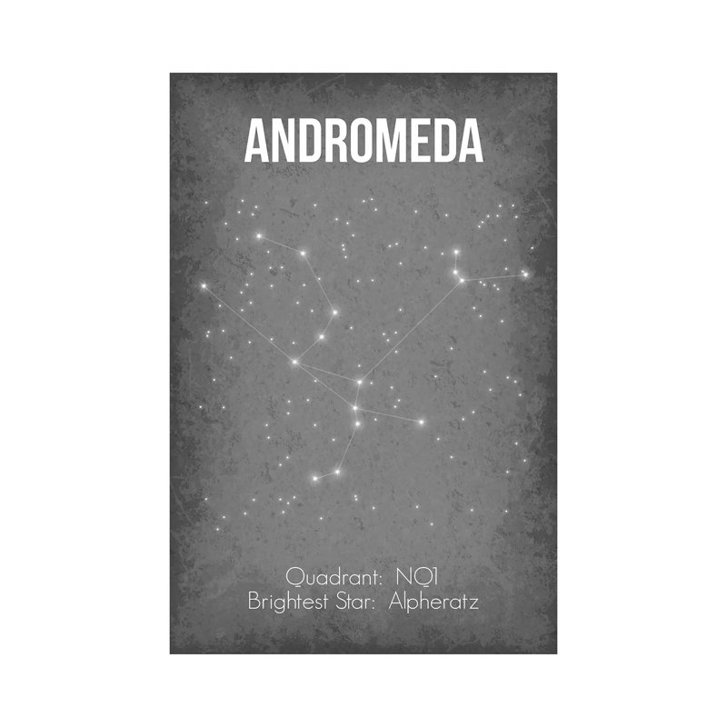 Andromeda by GetYourNerdOn - Wrapped Canvas Print, 101.6 cm H x 66.04 cm W x 1.91 cm D