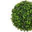 Sphère de jardin topiaire vert bicolore bicolore-18523508