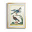 Pastel Birds III - reproduction de cadre photo-1457884733-1457884732