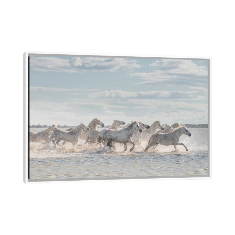 White Angels Of Camargue XXVI by Daniel Kordan - Print on Canvas, White Framed, 101.6 cm H x 66.04 cm W