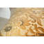 Prospect Park Square Velvet Pillow Cover & Insert-75305425-75305432