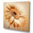 Wrapped Canvas
