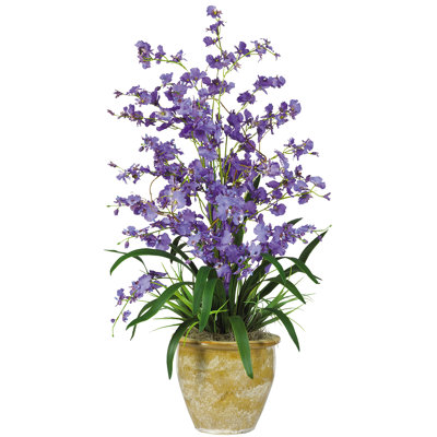 Orchid Arrangement in Pot