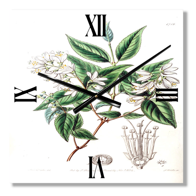 Horloge murale rétro Vintage Botanicals X, Grand