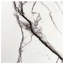 Drama Breach 24x24 Matte Porcelain Tile