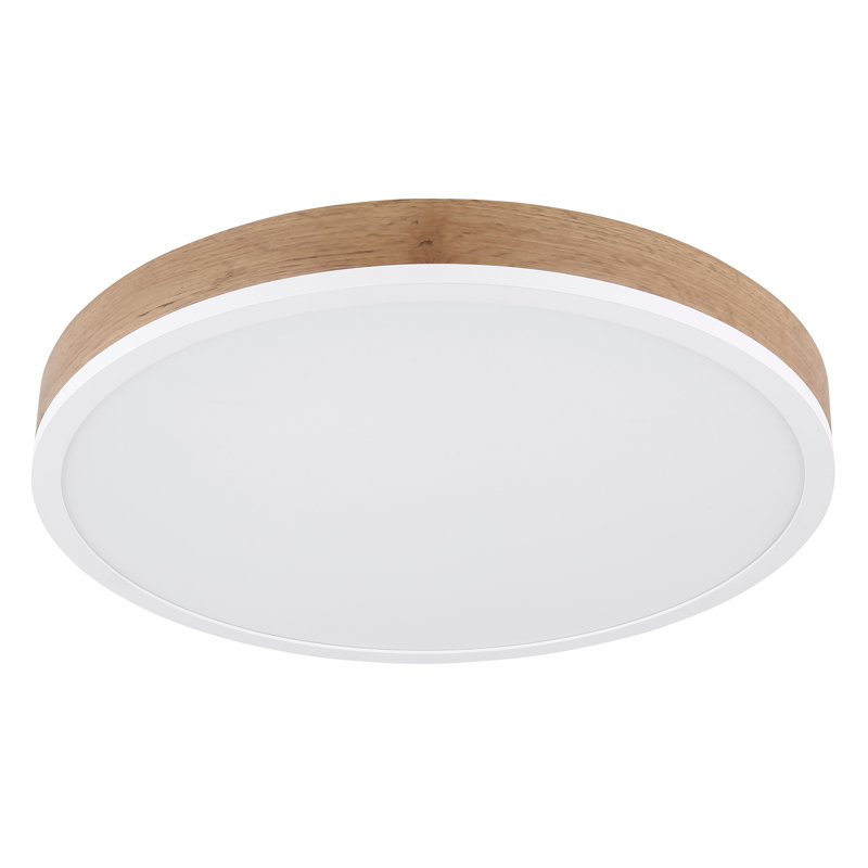 Plastic LED Flush Mount