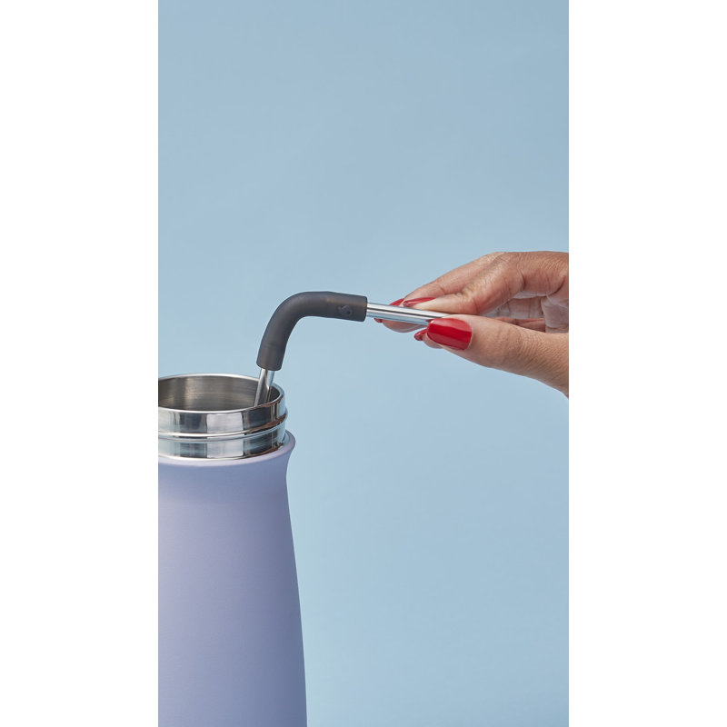 S'well Stainless Steel Straw Set with Cleaning Brush
