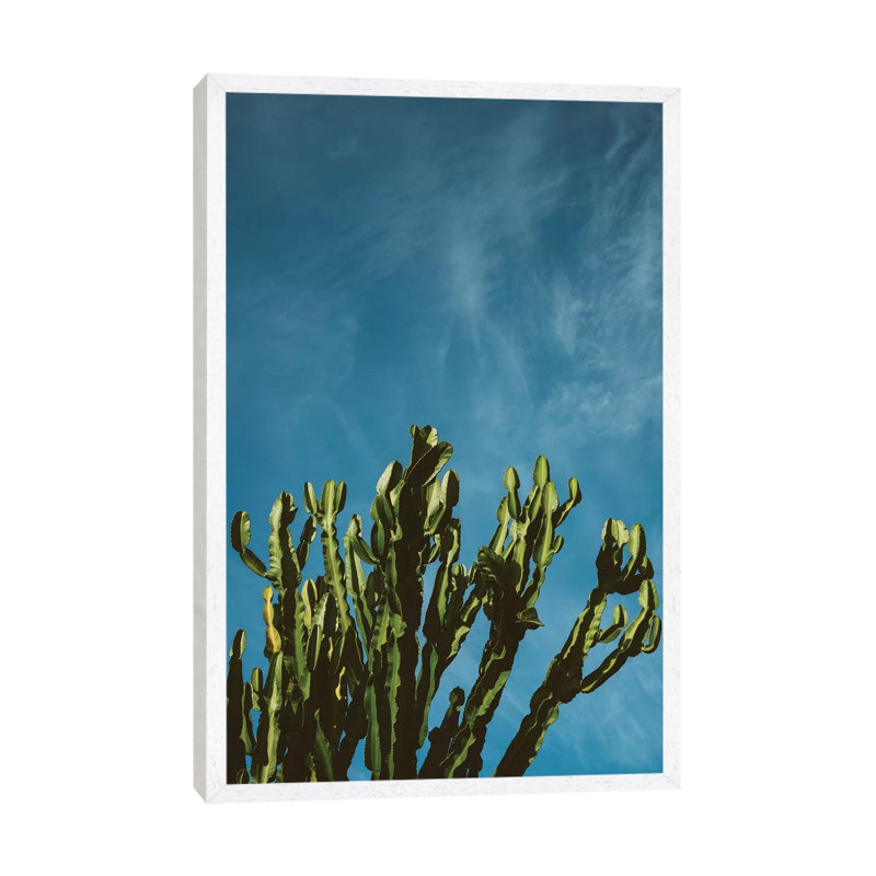 Cactus Sky by Bethany Young - Print on Canvas, 152.4cm H x 101.6cm W x 3.81cm D, White Framed