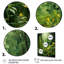 Plantes vertes Reverie Patchwork I - art mural floral salon-91325756-91325761