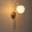 1-Light Mid-Century Modern Globe Wall Sconce