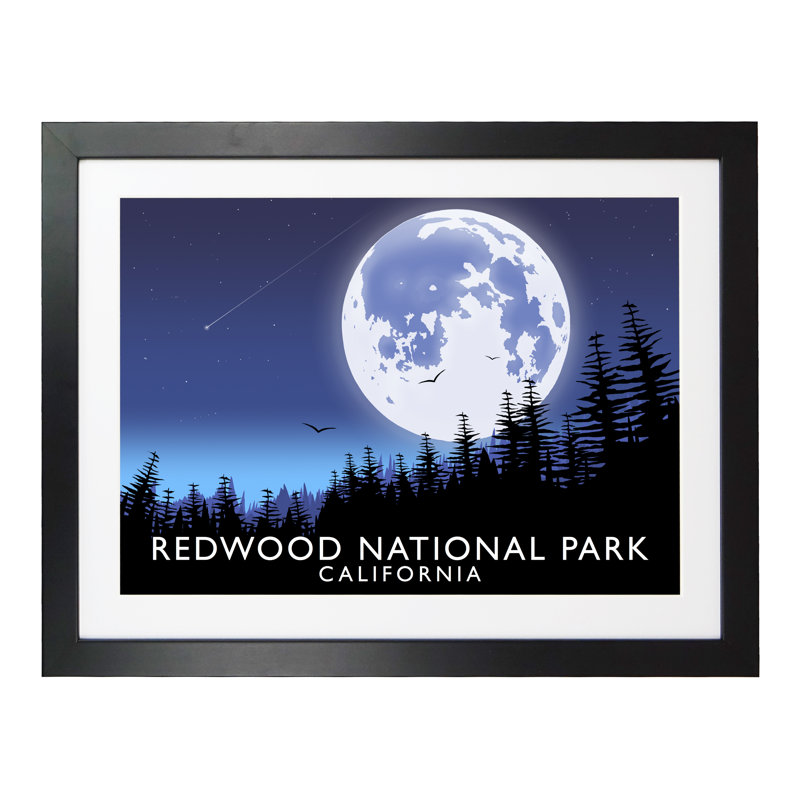'Redwood National Park' 1 Piece Wall Art, 33.5 cm H x 43.5 cm W x 2.2 cm D, Black Wood Frame