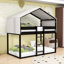 Deller Twin Over Twin Wood Bunk Bed with Tent-1105698476