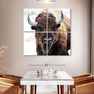 Brampt American Bison - A National Treasure