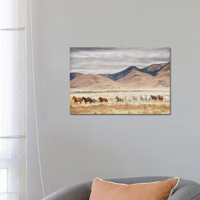 Horse Run II by PHBurchett - Wrapped Canvas Print, 66.04 cm H x 45.72 cm W x 1.91 cm D