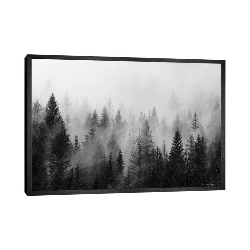 Forest - Print on Canvas, 101.6 cm H x 66.04 cm W, Black Framed