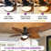 Tenisha 52'' Ceiling Fan with LED Lights