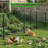PVC Coated Welded Wire Mesh Fence Kit, Galvanized Metal Wire Fencing with U Posts & Cable Ties, Outdoor Garden Pet Dog Barrier-135535669-135535670