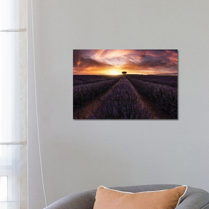 Lavender Sunset by Jorge Ruiz Dueso - Wrapped Canvas Print, 66.04 cm H x 45.72 cm W