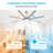 Osaze Ceiling Fan with LED Lights-95994506-91132636
