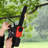10” Cordless Chainsaw
