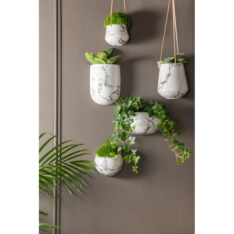 Tiggs Ceramic Hanging Planter, White, 9.5cm H x 12.2cm W x 12.2cm D
