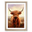 Highland Cow Digital - Single Picture Frame Print on Wood-240445908-240445914