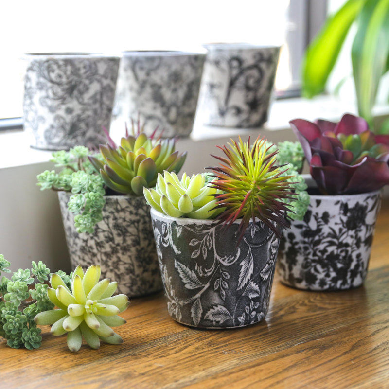 Ensemble de pots à fleurs terre cuite à corps floral rond 6 pièces Engebretson