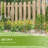 Garden Chicken Wire Cloche, 12" x 14" Plant Protectors from Animals, 4 Pack Metal Crop Cages to Keep Animals Out, Black