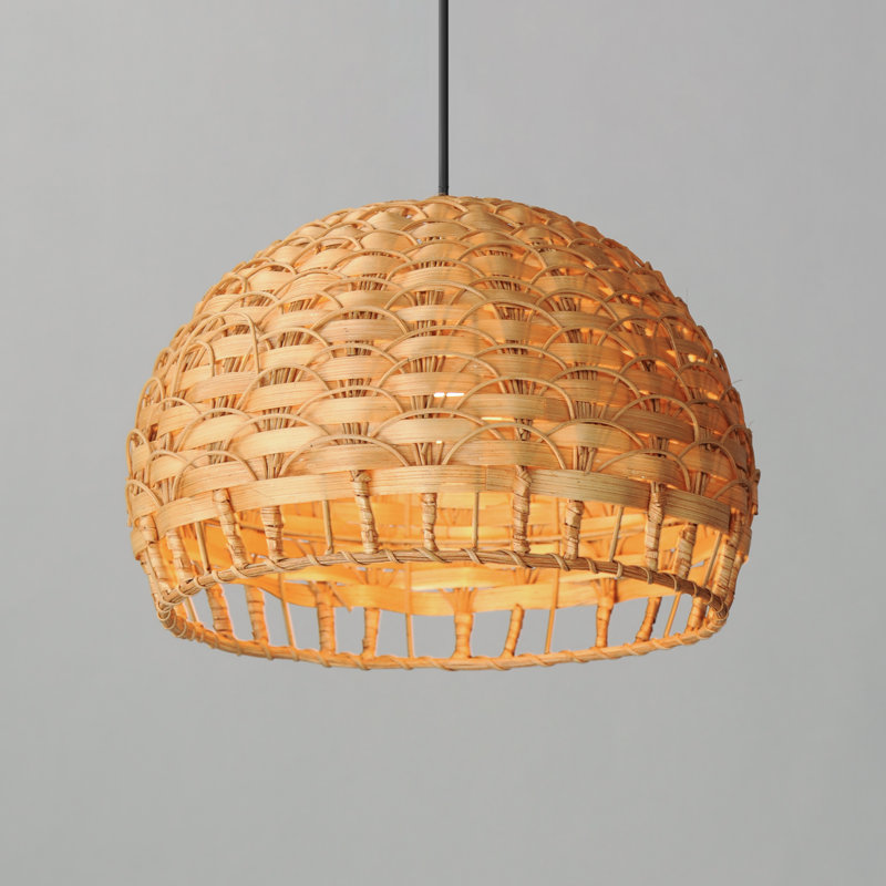 Luminaire suspendu noir à 1 lumière Woodsdale