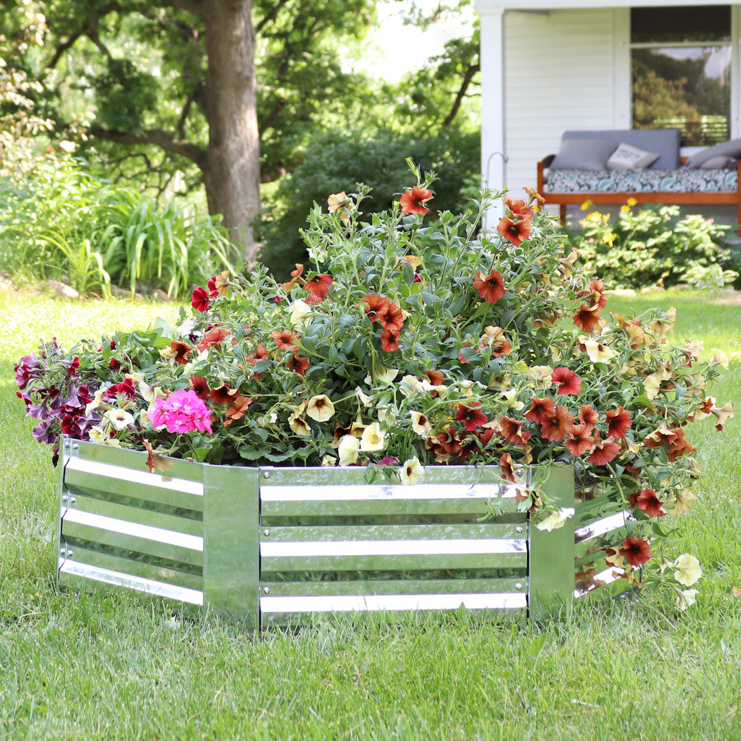 Irick Hexagon Galvanized Steel Raised Garden Bed - 40.5" x 36" x 11.75"  Arlmont & Co. 