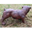 Laperle Animals Weather Resistant Garden Statue