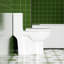 Toilette 1,28, blanc brillant 003, économiseur d'eau, siège confortable