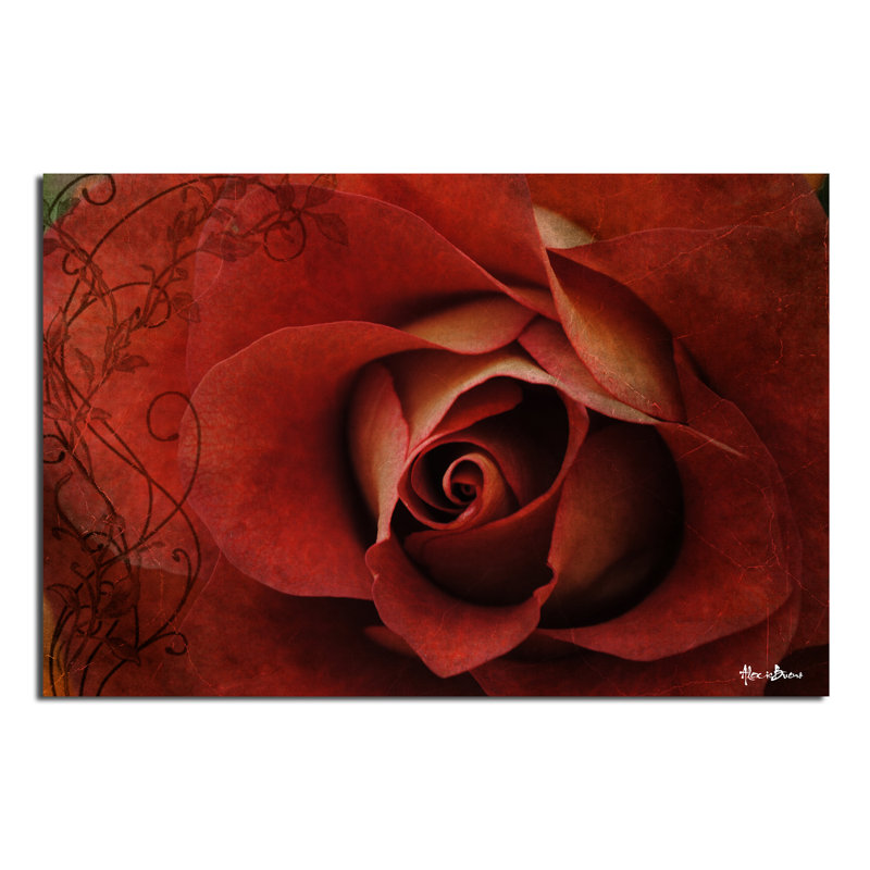 « roses is red », impression sur toile