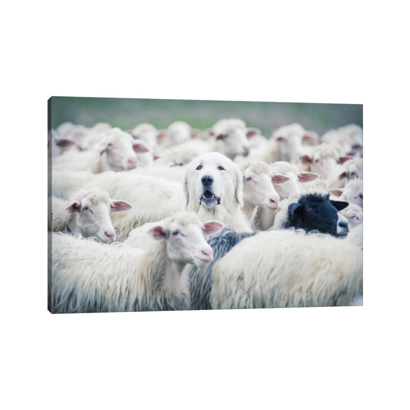 In Disguise by Adrian Popan - Wrapped Canvas Print, 66.04 cm H x 45.72 cm W x 1.91 cm D