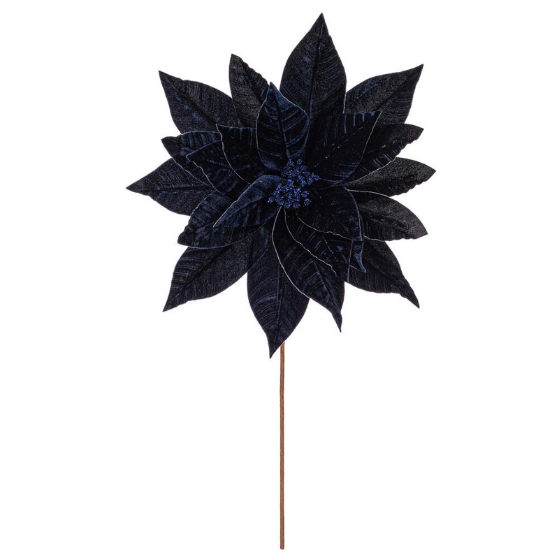 Tiges de poinsettia Clementina, Bleu minuit
